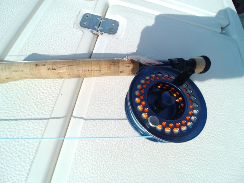 Learning at the Feet of the&nbsp;Sensei