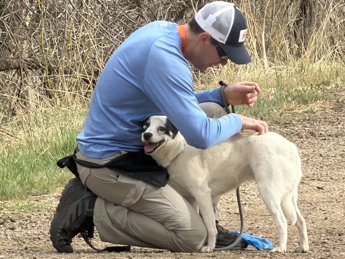 Puttin’ On the&nbsp;Dog