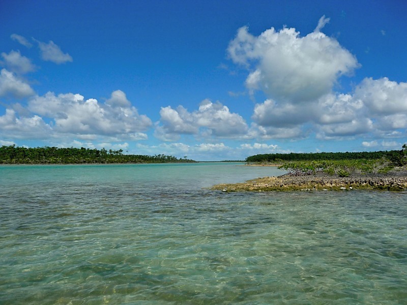 Bahamas Bones